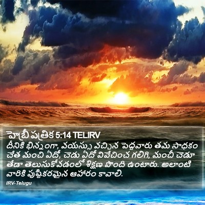 హెబ్రీ పత్రిక 5:14 TELIRV Bible Verse Image