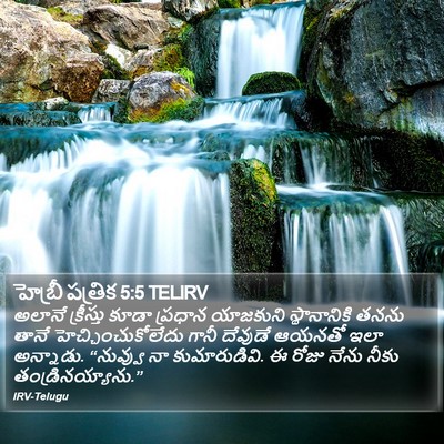 హెబ్రీ పత్రిక 5:5 TELIRV Bible Verse Image