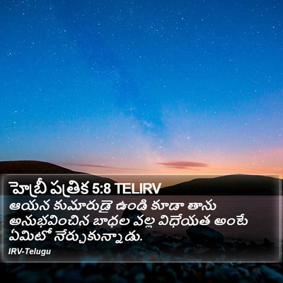 హెబ్రీ పత్రిక 5:8 TELIRV Bible Verse Image