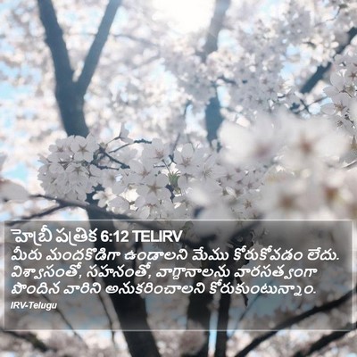 హెబ్రీ పత్రిక 6:12 TELIRV Bible Verse Image