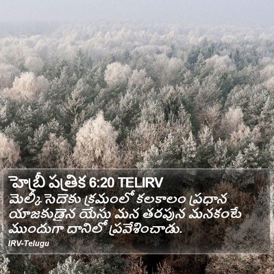 హెబ్రీ పత్రిక 6:20 TELIRV Bible Verse Image