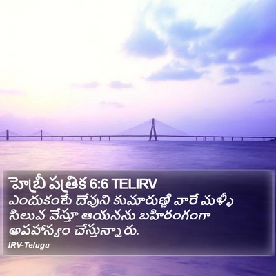 హెబ్రీ పత్రిక 6:6 TELIRV Bible Verse Image