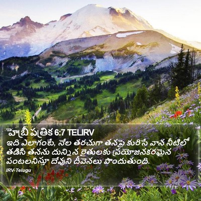 హెబ్రీ పత్రిక 6:7 TELIRV Bible Verse Image