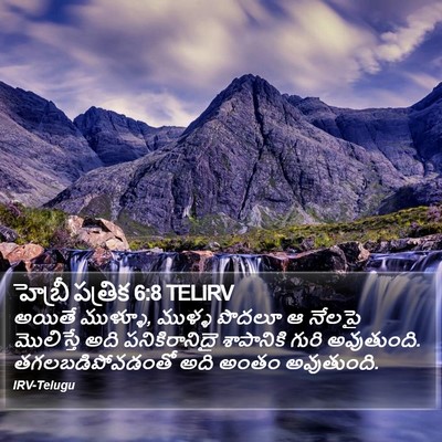 హెబ్రీ పత్రిక 6:8 TELIRV Bible Verse Image