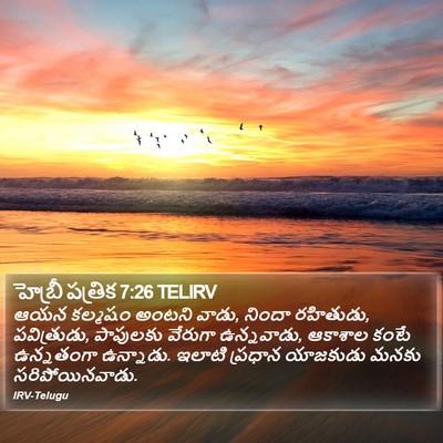 హెబ్రీ పత్రిక 7:26 TELIRV Bible Verse Image