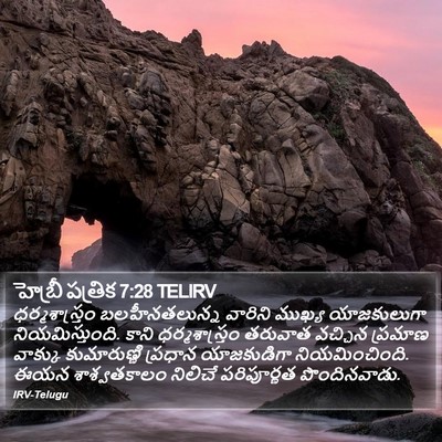 హెబ్రీ పత్రిక 7:28 TELIRV Bible Verse Image