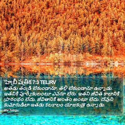 హెబ్రీ పత్రిక 7:3 TELIRV Bible Verse Image