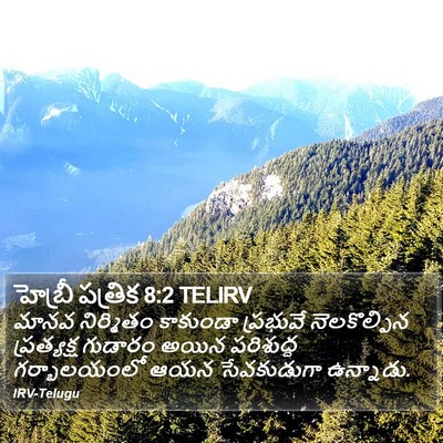 హెబ్రీ పత్రిక 8:2 TELIRV Bible Verse Image