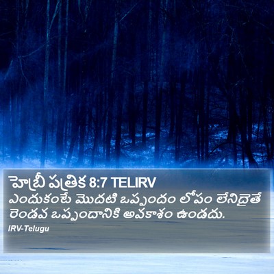 హెబ్రీ పత్రిక 8:7 TELIRV Bible Verse Image