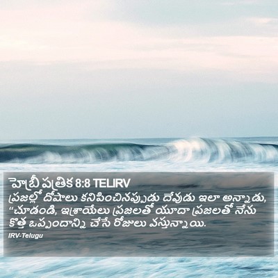 హెబ్రీ పత్రిక 8:8 TELIRV Bible Verse Image