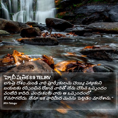 హెబ్రీ పత్రిక 8:9 TELIRV Bible Verse Image