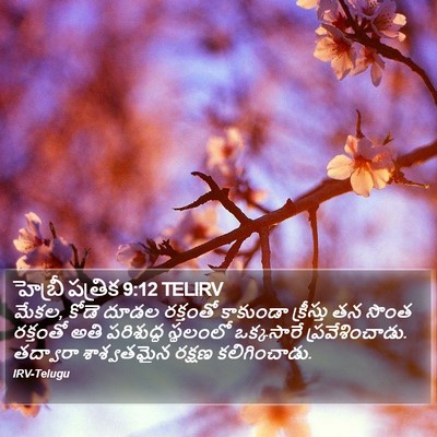 హెబ్రీ పత్రిక 9:12 TELIRV Bible Verse Image