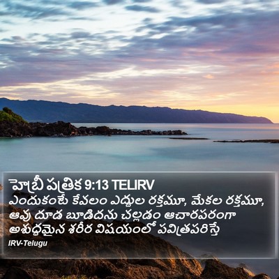 హెబ్రీ పత్రిక 9:13 TELIRV Bible Verse Image