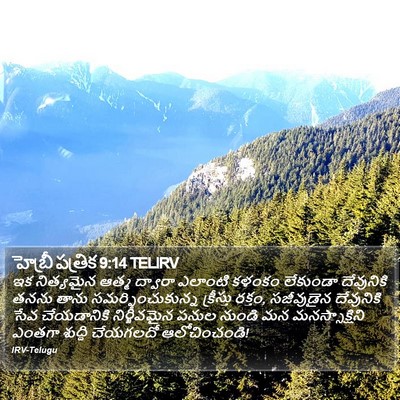 హెబ్రీ పత్రిక 9:14 TELIRV Bible Verse Image