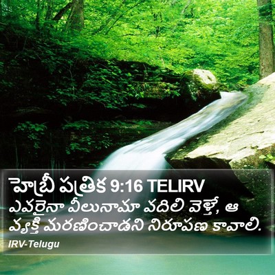 హెబ్రీ పత్రిక 9:16 TELIRV Bible Verse Image