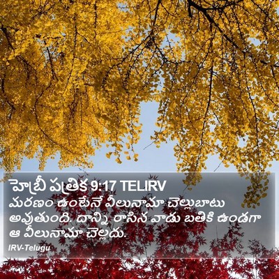 హెబ్రీ పత్రిక 9:17 TELIRV Bible Verse Image