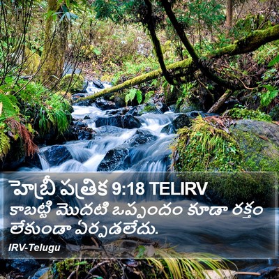 హెబ్రీ పత్రిక 9:18 TELIRV Bible Verse Image