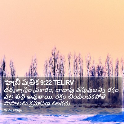 హెబ్రీ పత్రిక 9:22 TELIRV Bible Verse Image
