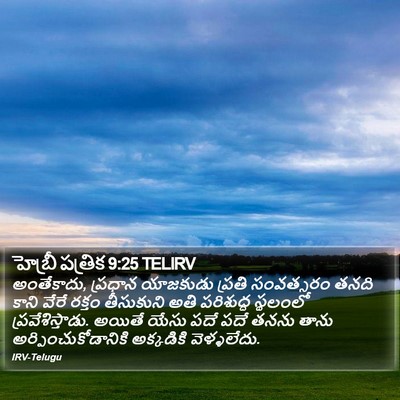 హెబ్రీ పత్రిక 9:25 TELIRV Bible Verse Image