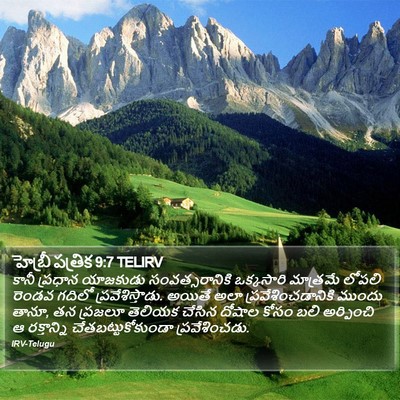 హెబ్రీ పత్రిక 9:7 TELIRV Bible Verse Image