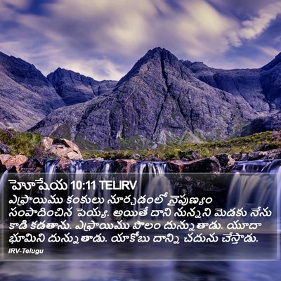 హోషేయ 10:11 TELIRV Bible Verse Image