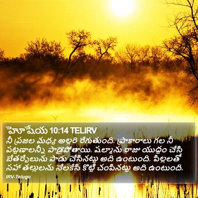హోషేయ 10:14 TELIRV Bible Verse Image
