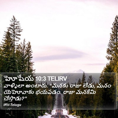 హోషేయ 10:3 TELIRV Bible Verse Image