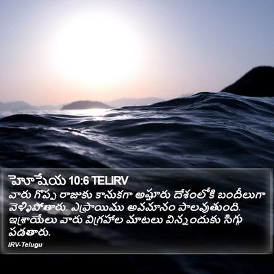 హోషేయ 10:6 TELIRV Bible Verse Image
