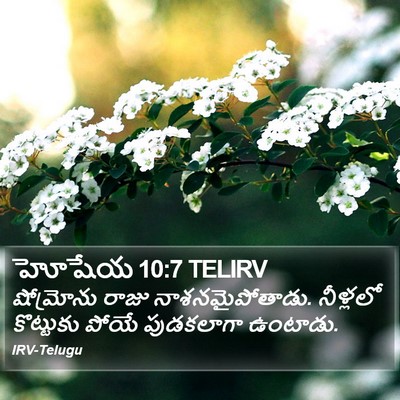 హోషేయ 10:7 TELIRV Bible Verse Image