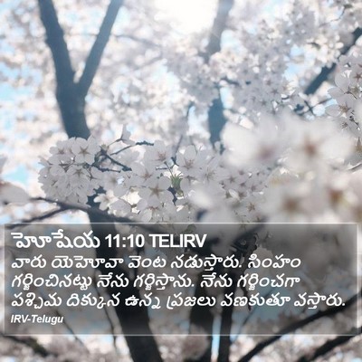 హోషేయ 11:10 TELIRV Bible Verse Image