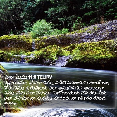 హోషేయ 11:8 TELIRV Bible Verse Image