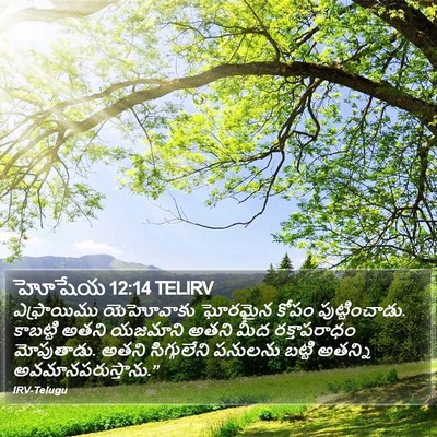 హోషేయ 12:14 TELIRV Bible Verse Image