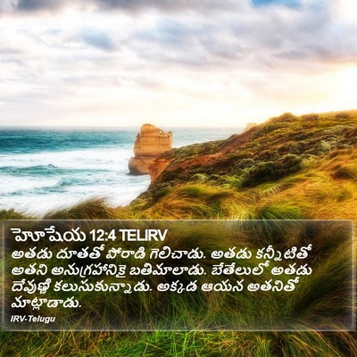 హోషేయ 12:4 TELIRV Bible Verse Image