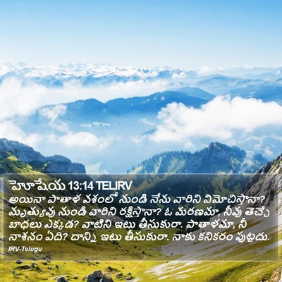 హోషేయ 13:14 TELIRV Bible Verse Image
