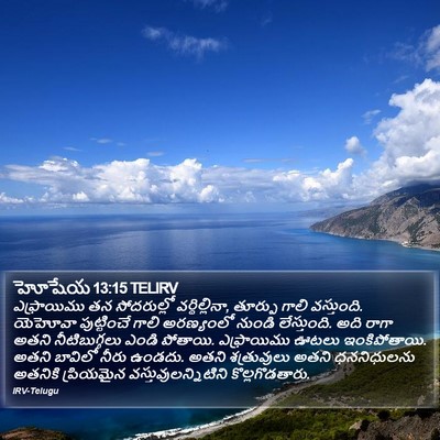 హోషేయ 13:15 TELIRV Bible Verse Image