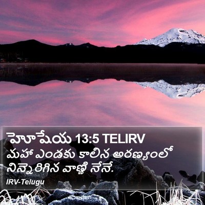 హోషేయ 13:5 TELIRV Bible Verse Image