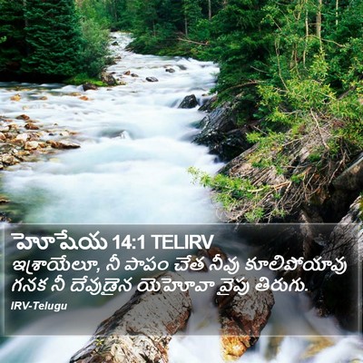 హోషేయ 14:1 TELIRV Bible Verse Image