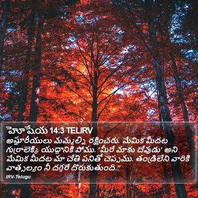 హోషేయ 14:3 TELIRV Bible Verse Image