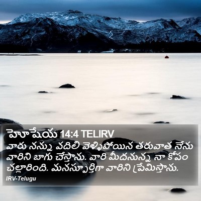హోషేయ 14:4 TELIRV Bible Verse Image
