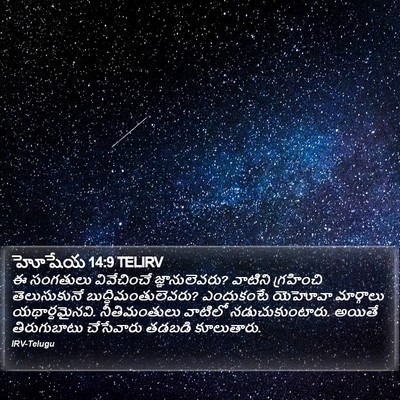 హోషేయ 14:9 TELIRV Bible Verse Image