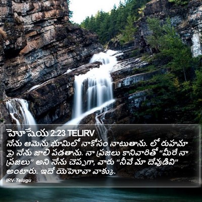 హోషేయ 2:23 TELIRV Bible Verse Image