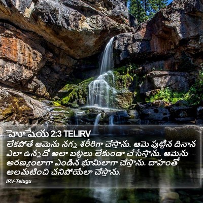 హోషేయ 2:3 TELIRV Bible Verse Image