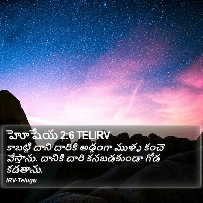 హోషేయ 2:6 TELIRV Bible Verse Image