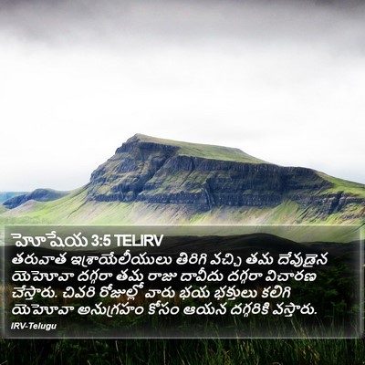 హోషేయ 3:5 TELIRV Bible Verse Image