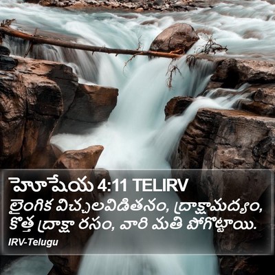 హోషేయ 4:11 TELIRV Bible Verse Image
