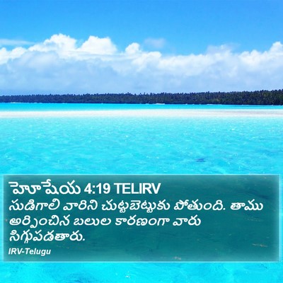 హోషేయ 4:19 TELIRV Bible Verse Image