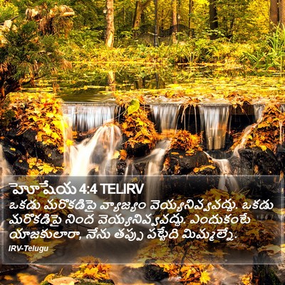 హోషేయ 4:4 TELIRV Bible Verse Image