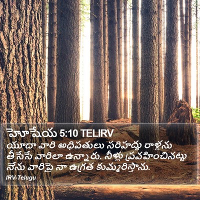 హోషేయ 5:10 TELIRV Bible Verse Image