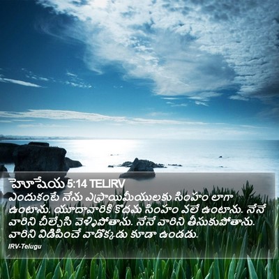 హోషేయ 5:14 TELIRV Bible Verse Image