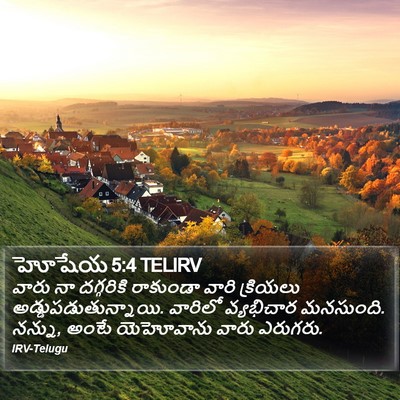 హోషేయ 5:4 TELIRV Bible Verse Image